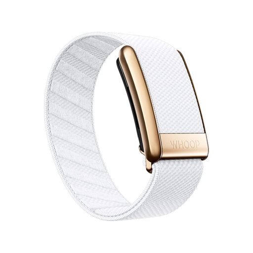 Get Whoop Arctic with Rose Gold - SuperKnit Luxe Band in Qatar from TaMiMi Projects